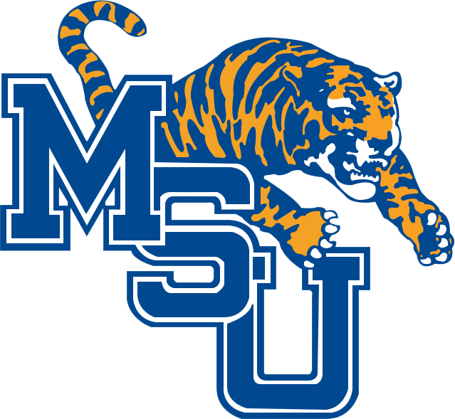 Memphis Tigers 1989-1993 Primary Logo diy DTF decal sticker